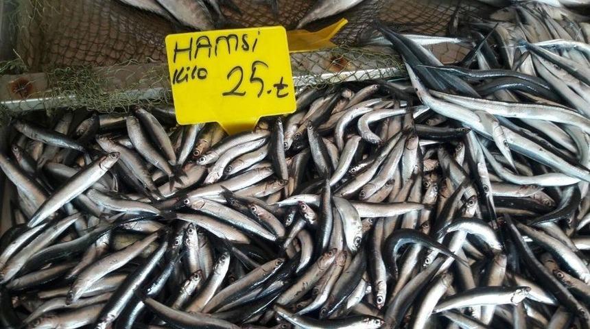 Hamsi&rsquo;nin Ateşi Tezgahlarda Cep Yakıyor