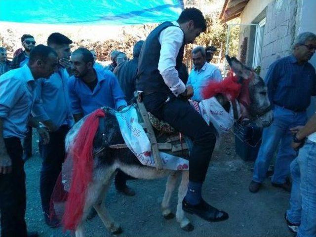 Gelin Almaya Eşekle Gitti 1