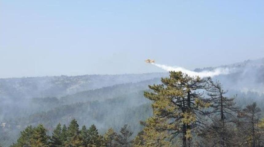 K&uuml;tahya'da Orman Yangını (2)