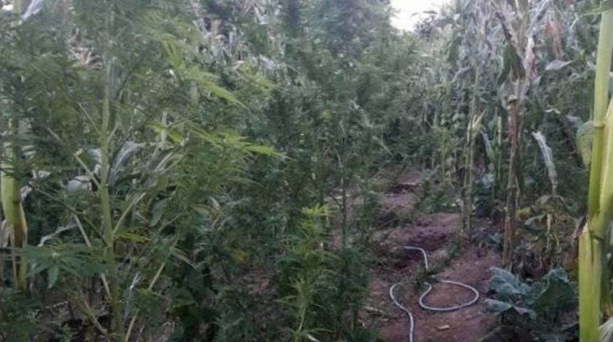 Sakarya&rsquo;da 4 İl&ccedil;ede Uyuşturucu Operasyonu