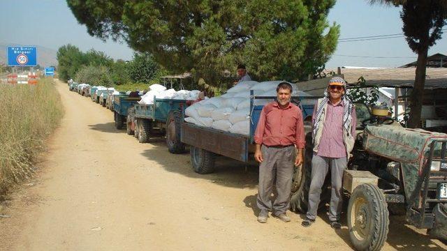 Tariş Depolarında Üzüm Kuyruğu 2