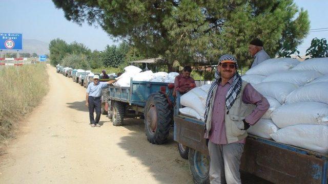 Tariş Depolarında Üzüm Kuyruğu 3