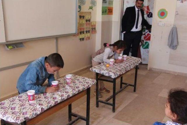 Harran da yeni Nesil Öğretmen Harikalar Yaratıyor 2