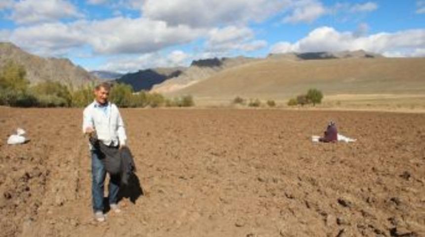 Oltu&rsquo;da G&uuml;zl&uuml;k Buğdaylar Ekiliyor