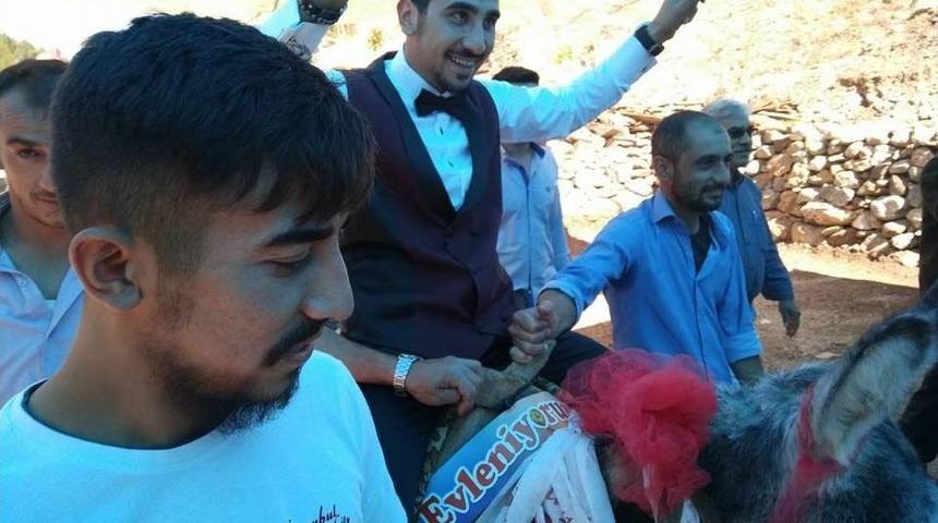 Eşek Gelin Arabası Oldu