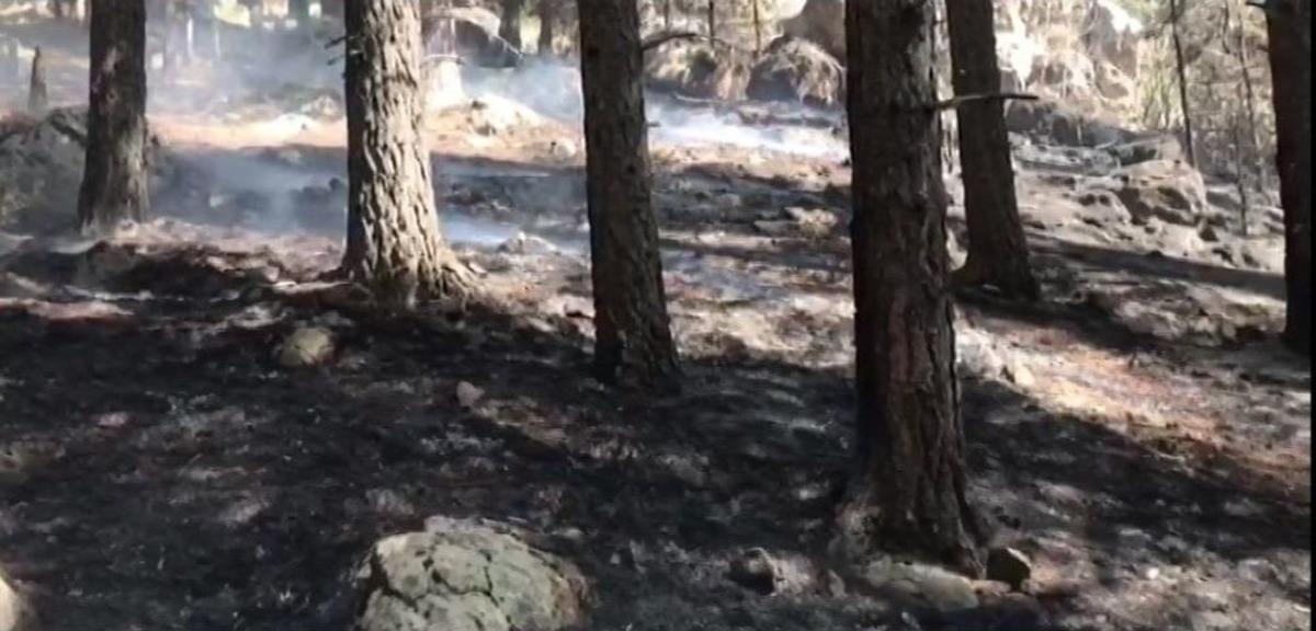 Sarıkamış Cayır Cayır Yanıyor