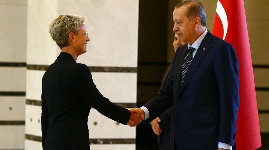 Cumhurbaşkanı Erdoğan, Avusturya B&uuml;y&uuml;kel&ccedil;isi Tilly&rsquo;i Kabul Etti