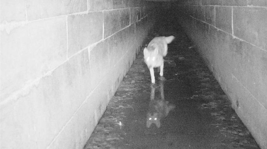 Bakanlığın Yaptığı &Ccedil;alışma Sonu&ccedil; Verdi