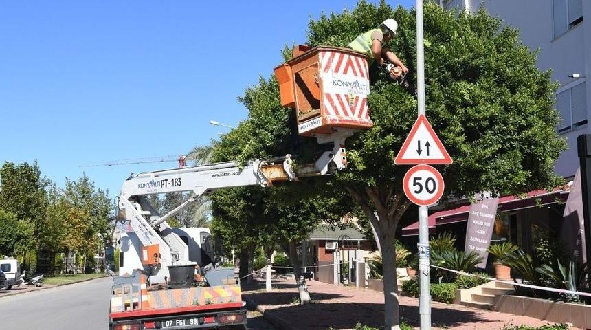 Konyaaltı&rsquo;nda Kış Hazırlıkları Başladı