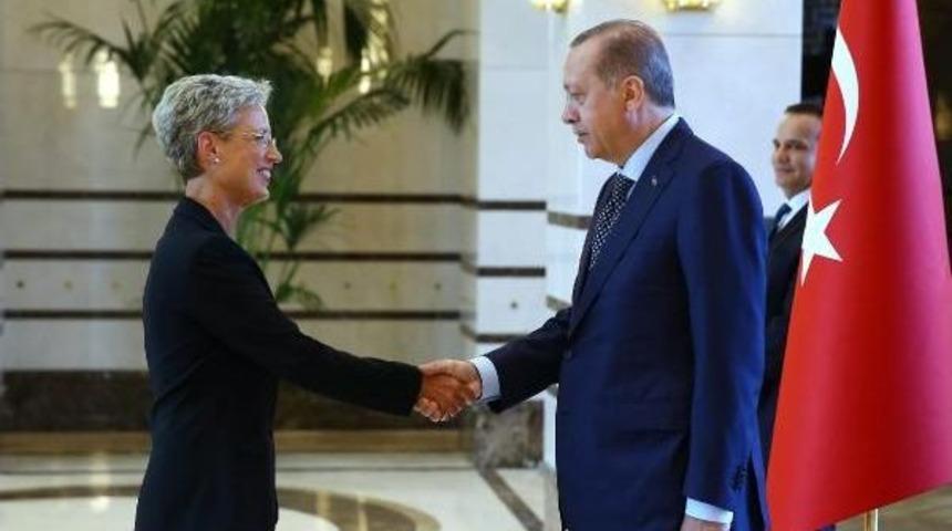 Cumhurbaşkanı Erdoğan'a Avusturya B&uuml;y&uuml;kel&ccedil;isi'nden G&uuml;ven Mektubu