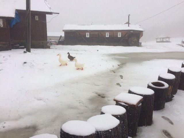 Rize&rsquo;de Sahilde Şiddetli Yağış, Yaylalarda Kar 1