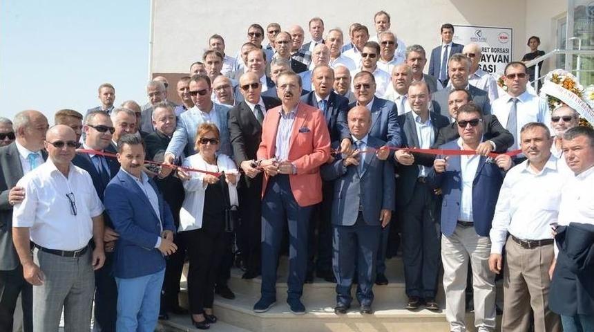 Kırklareli Canlı Hayvan Satış Tesisi A&ccedil;ıldı
