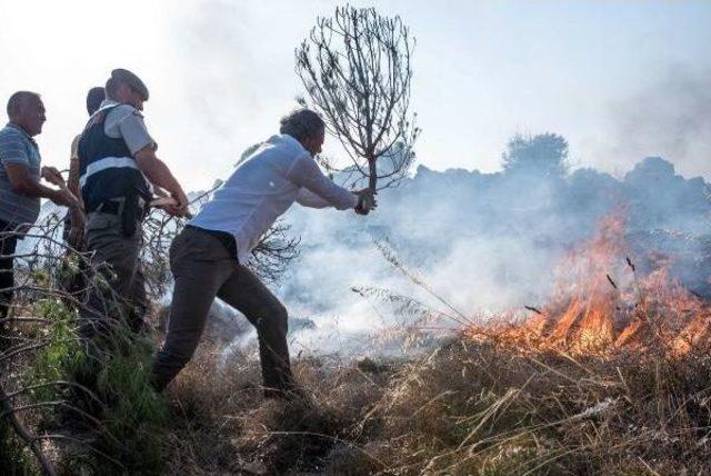 Bozcaada'daki Yangına Kaymakam Ve Belediye Başkanı Da Müdahale Etti