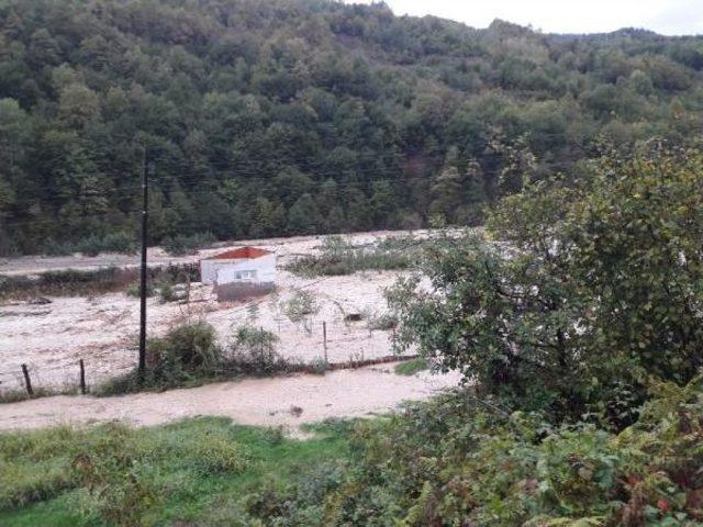 Arhavi'de Şiddetli Yağmur Sele Yol Açtı (2)