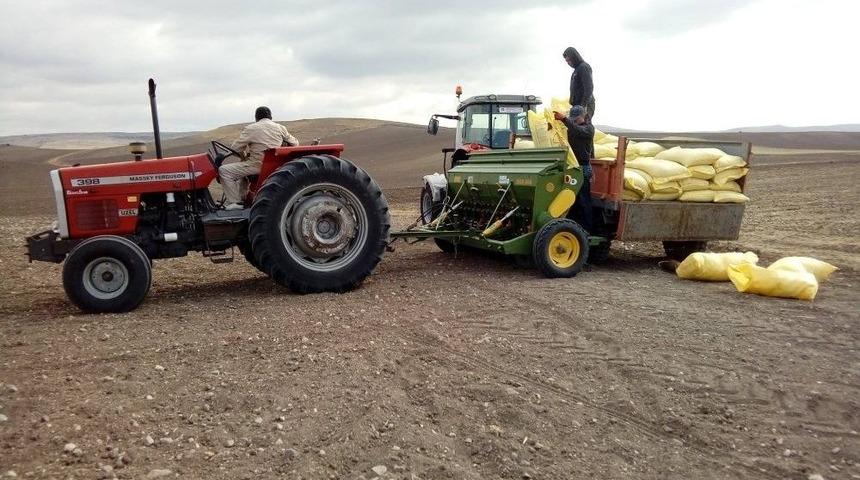 Yozgat&rsquo;ta Hububat Ekim &Ccedil;alışmaları Başladı