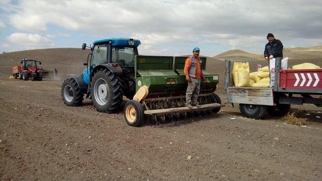 Yozgat’ta Hububat Ekim Çalışmaları Başladı 2