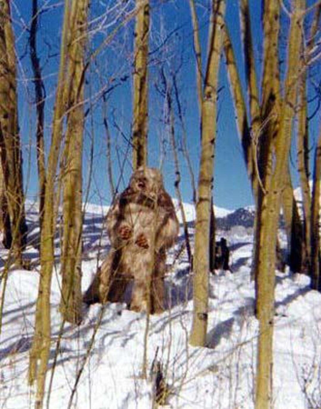 Существует ли снежный человек. Бигфут йети. Бигфут етти. Фигурка снежного человека. Етти снежный игра.