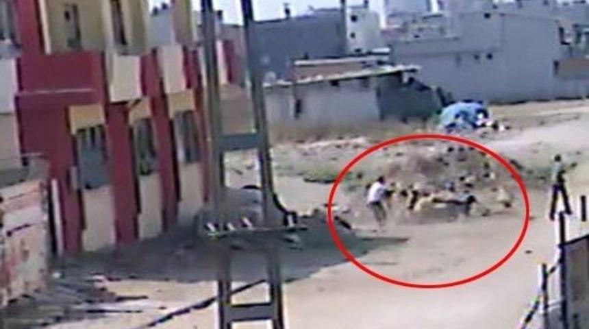 Koyun Hırsızları Kamerada