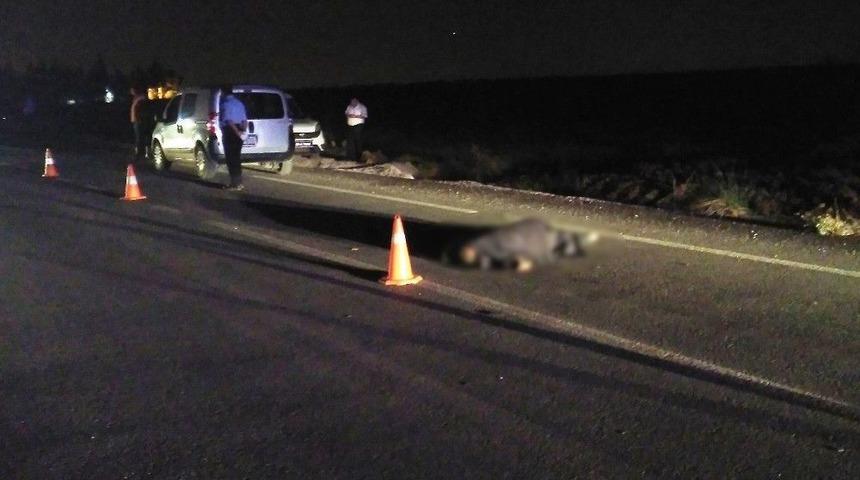 Yaşlı Adam Aydınlatması Bulunmayan Yolda Kaza Kurbanı Oldu