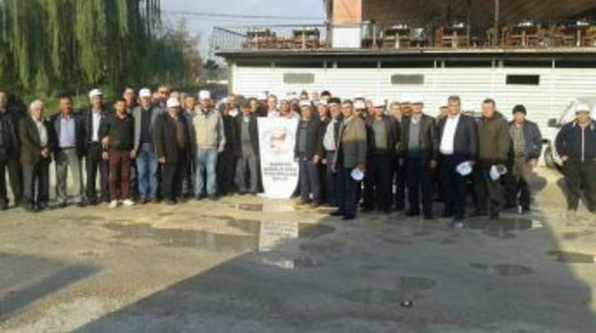 Damızlık Sığır Yetiştiricileri Birliği&rsquo;nin Bursa Gezisi