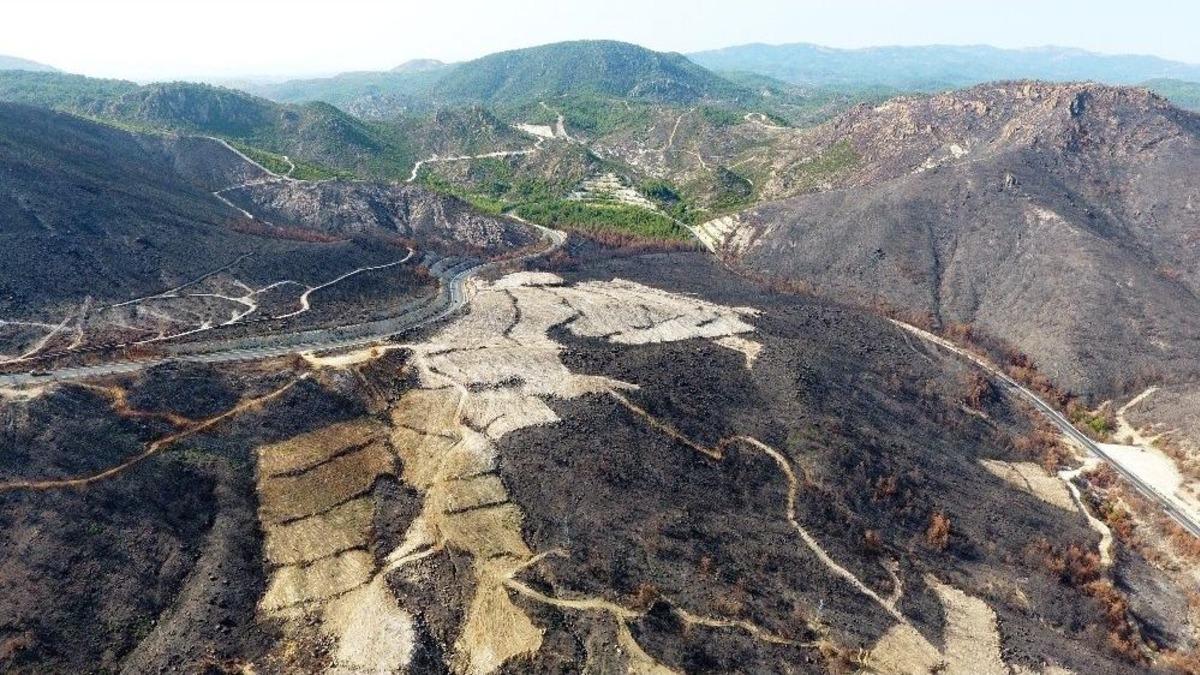 (&ouml;zel Haber) Yanan Alana 1,5 Milyon Yeni Fidan