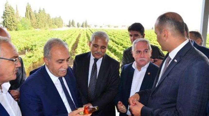 Bakan Fakıbaba: Kuru &Uuml;z&uuml;m 4 Liranın Altına D&uuml;şmeyecek