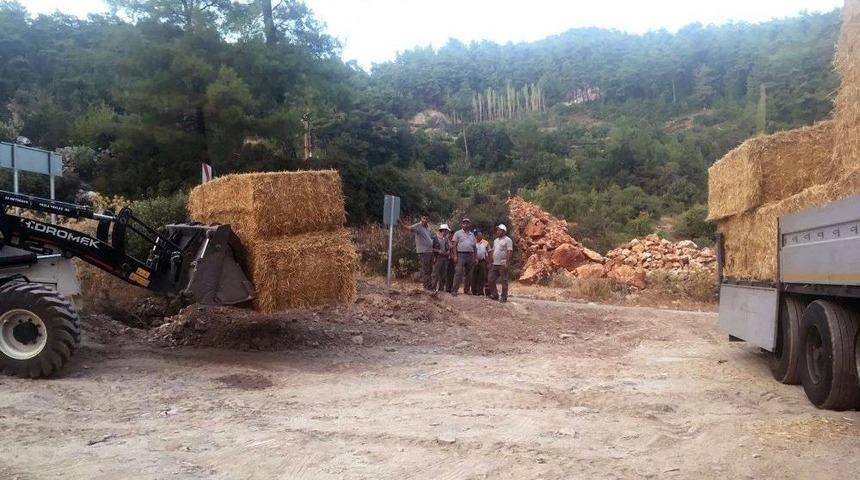 Tarım İl M&uuml;d&uuml;rl&uuml;ğ&uuml;nden Zeytin Mahallesine 13 Ton Saman