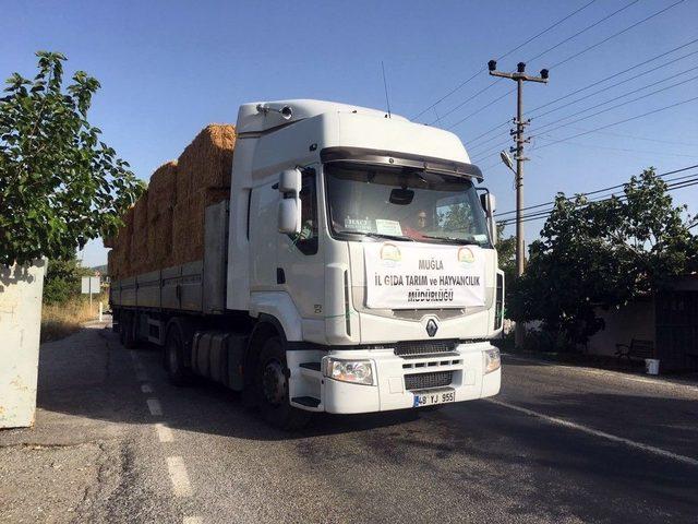 Tarım İl Müdürlüğünden Zeytin Mahallesine 13 Ton Saman