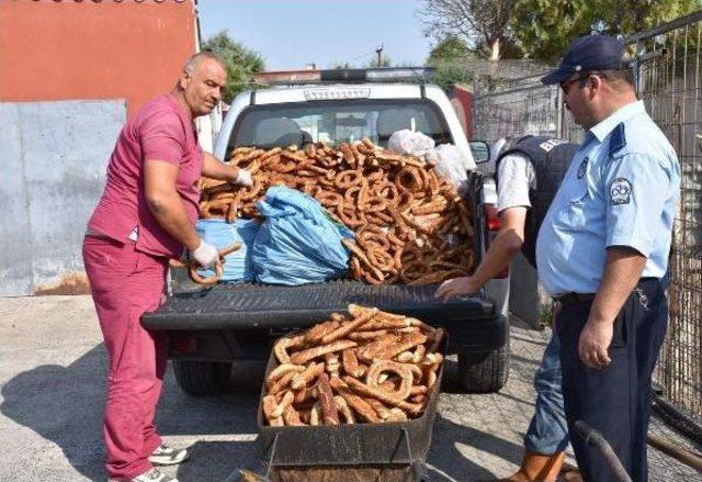 El Konulan 5 Bin Simit Barınaktaki Köpeklere Verildi