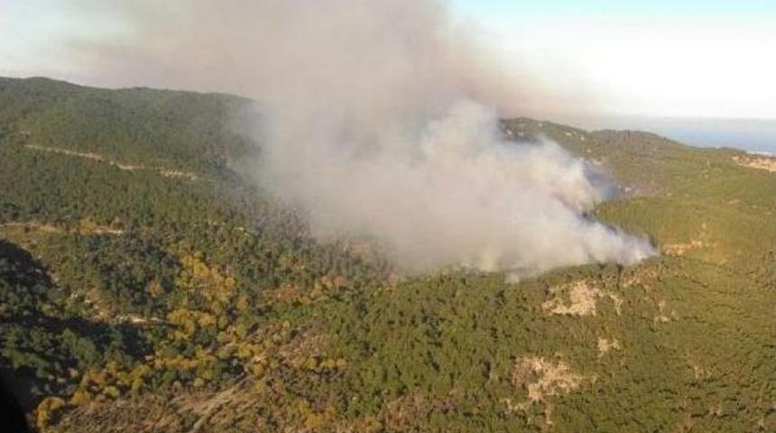 Bergama'da Orman Yangını (2)