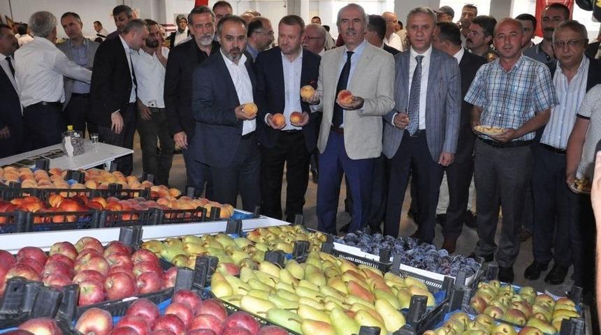 Anıl: "tarımda Reformlara İhtiyacımız Var"