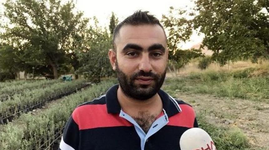 İş Bulamayan Y&uuml;ksek Okul Mezunu, Fidan &Uuml;retimine Başladı