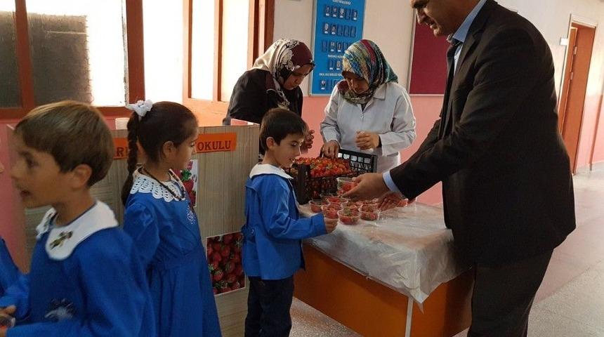 İlkokul &Ouml;ğrencilerine Organik &Ccedil;ilek