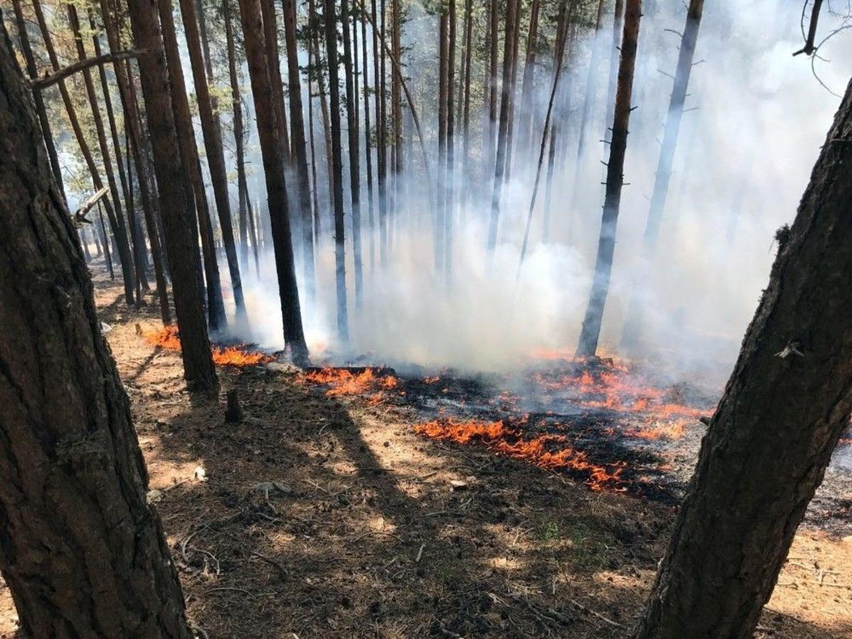 Sarıkamış Ormanları 3 G&uuml;nd&uuml;r Yanıyor