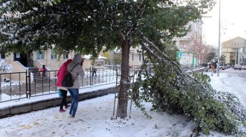Ardahan&rsquo;Da Kar Ve Fırtına&nbsp;