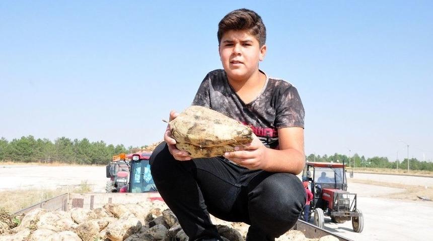 Elbistan Şeker Fabrikası&rsquo;nda Pancar Alımına Başlandı