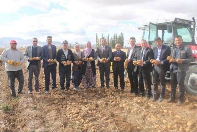 Kadın Çiftçilerin Patatesleri Hasat Edildi