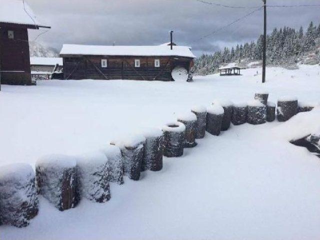 Doğu Karadeniz de Kar Etkisi 1