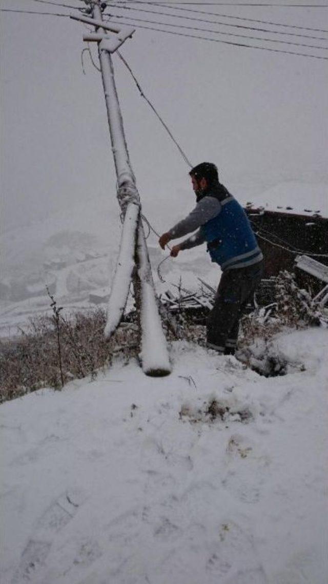 Doğu Karadeniz de Kar Etkisi 2