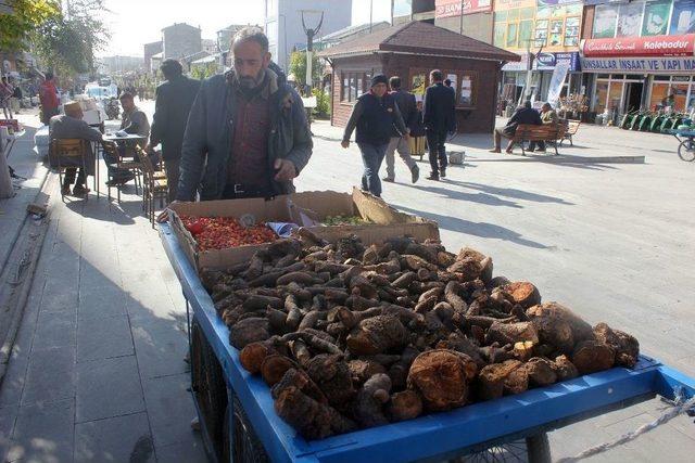 Soğuk Havalar Işkın Köküne Talebi Arttırdı