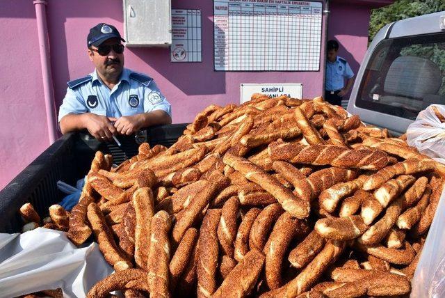 Zabıtanın El Koyduğu Simitler Barınaktaki Köpeklere Verildi