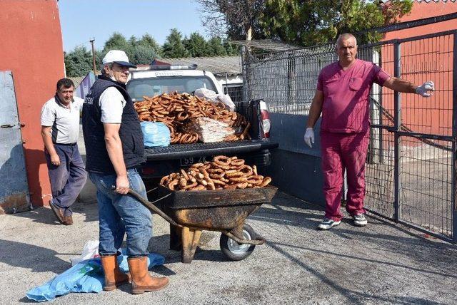 Zabıtanın El Koyduğu Simitler Barınaktaki Köpeklere Verildi