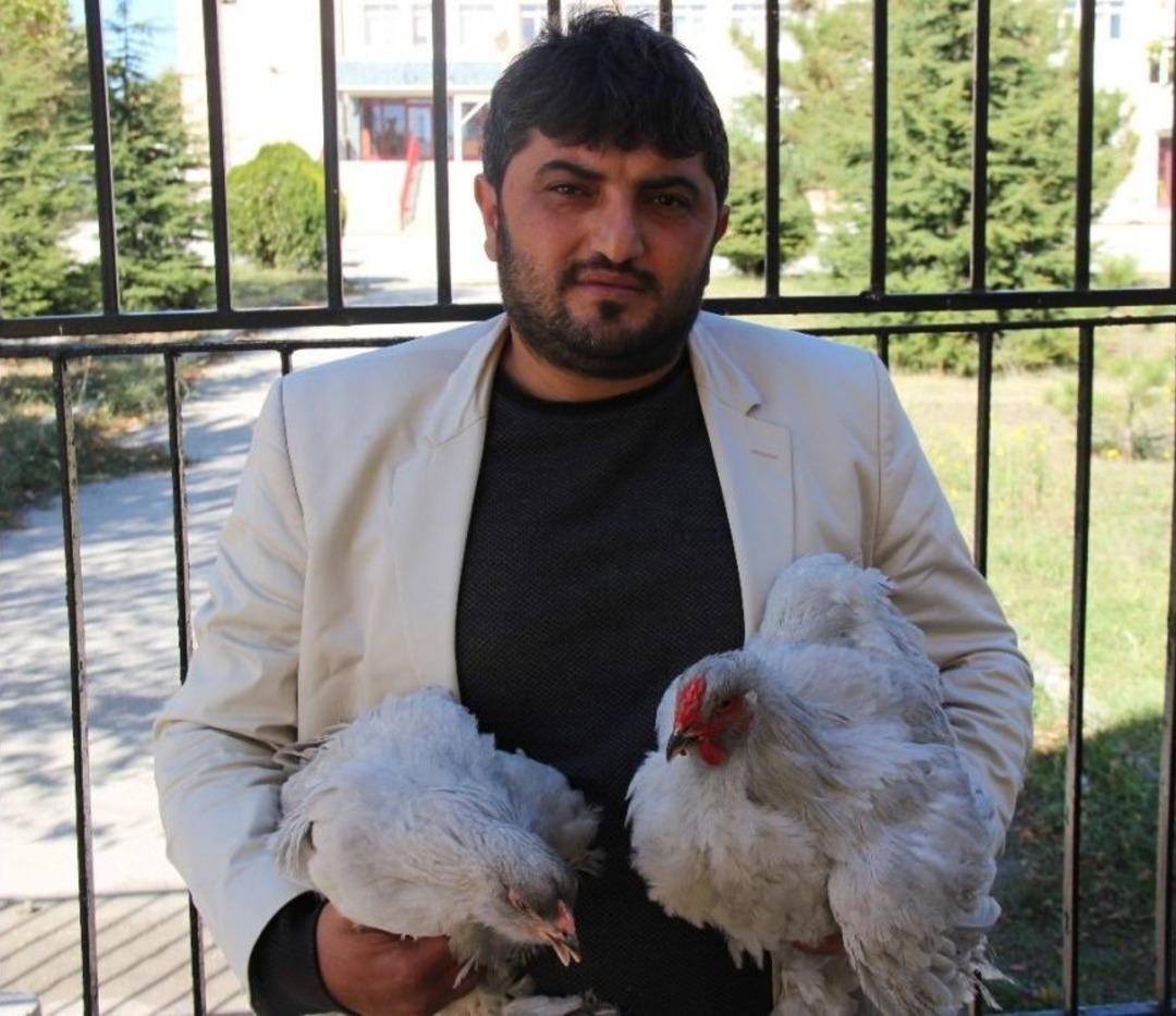 Altın Yumurtlayan Dernek