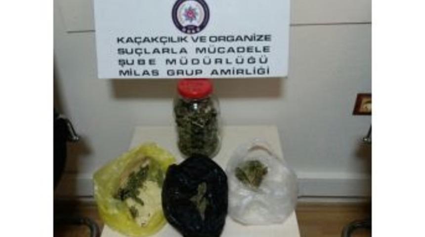 Oscar&rsquo;ın Hassas Burnu Uyuşturucuya Ge&ccedil;it Vermedi