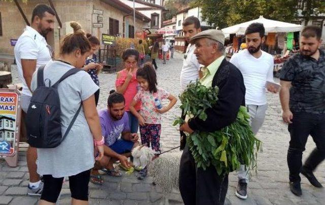 Torununun  Adını Verdiği Oğlağı Yanından Ayırmıyor