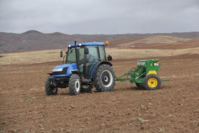 Sivas&rsquo;ta Buğday Ekimi Başladı 1
