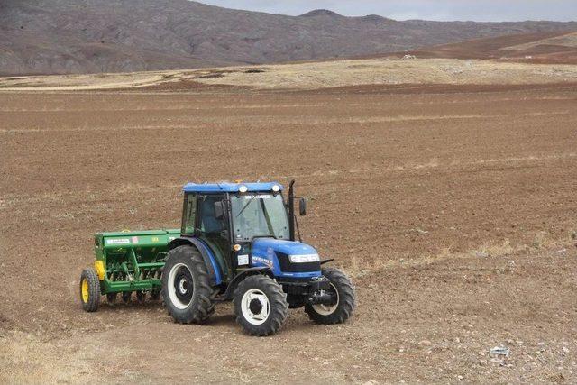 Sivas&rsquo;ta Buğday Ekimi Başladı 2