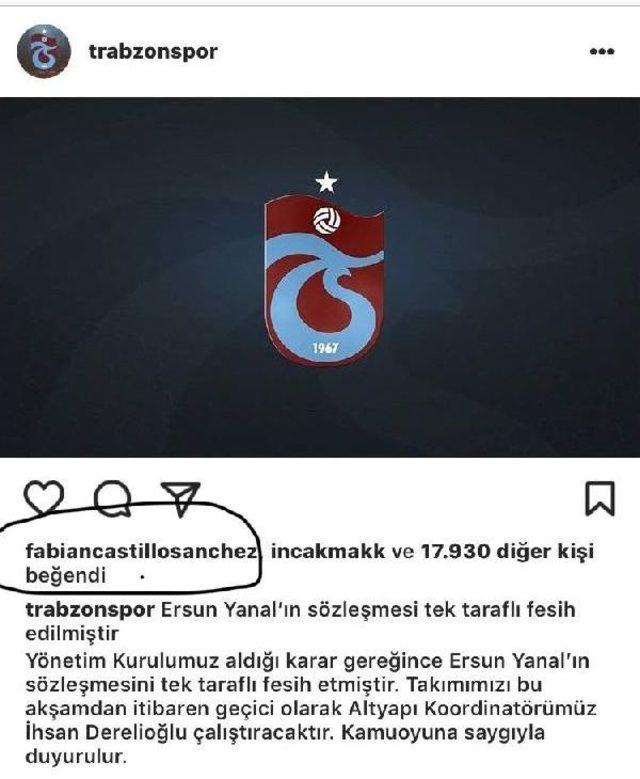 Trabzonspor, Yeni Teknik Direktörünü Arıyor