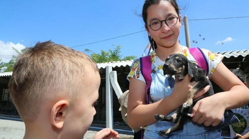 &Ouml;ğrenciler Ve Velileri Hayvan Dostları İle Buluştu