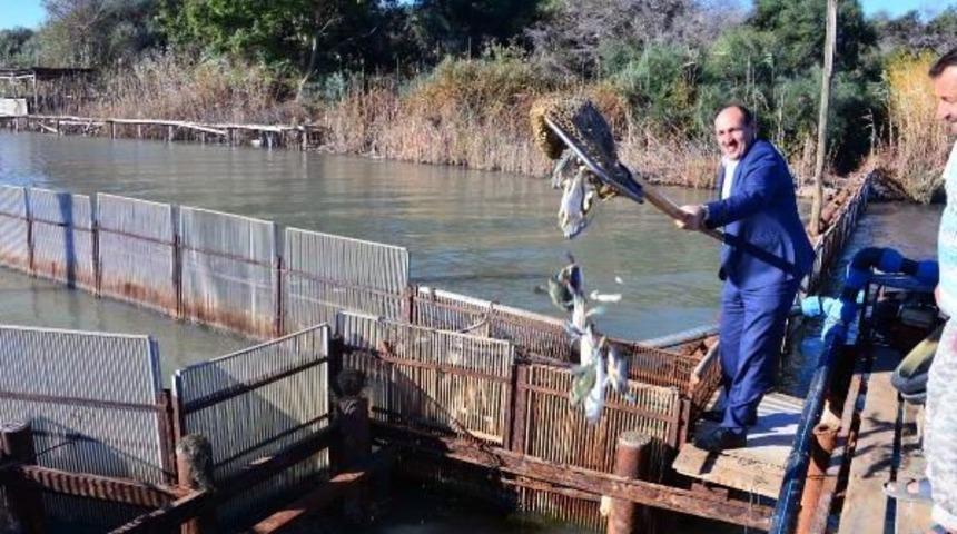 Binlerce Balık Denizle Buluştu